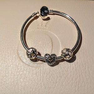 Pandora Charms!